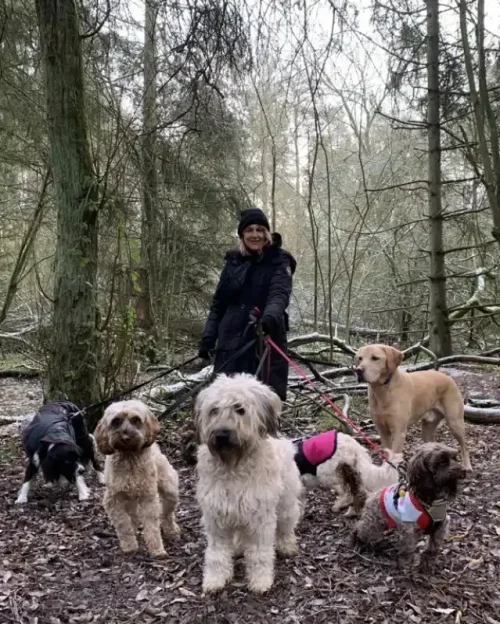 DOG WALKER LEAMINGTON SPA 18